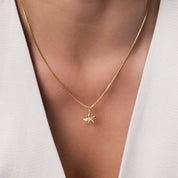 COLLAR ESTRELLA DE MAR
