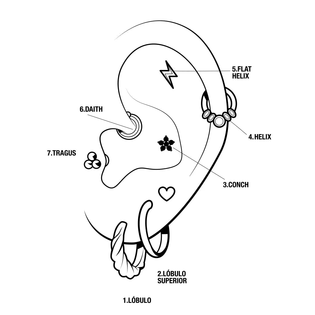 Tipos de Piercings: Una Guía Completa