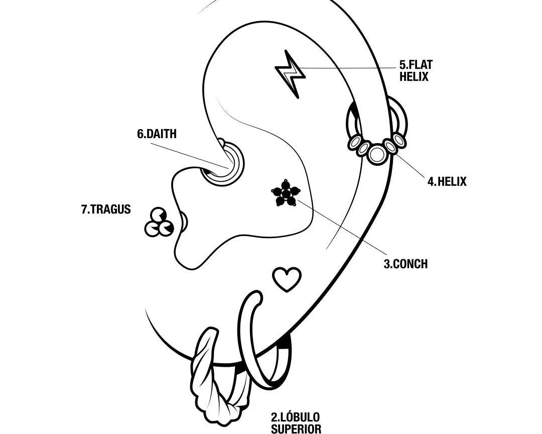 Tipos de Piercings: Una Guía Completa