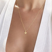 COLLAR AMADA NEW - MINI