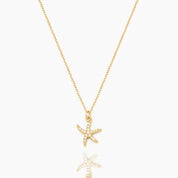 COLLAR ESTRELLA DE MAR - WATERPROOF