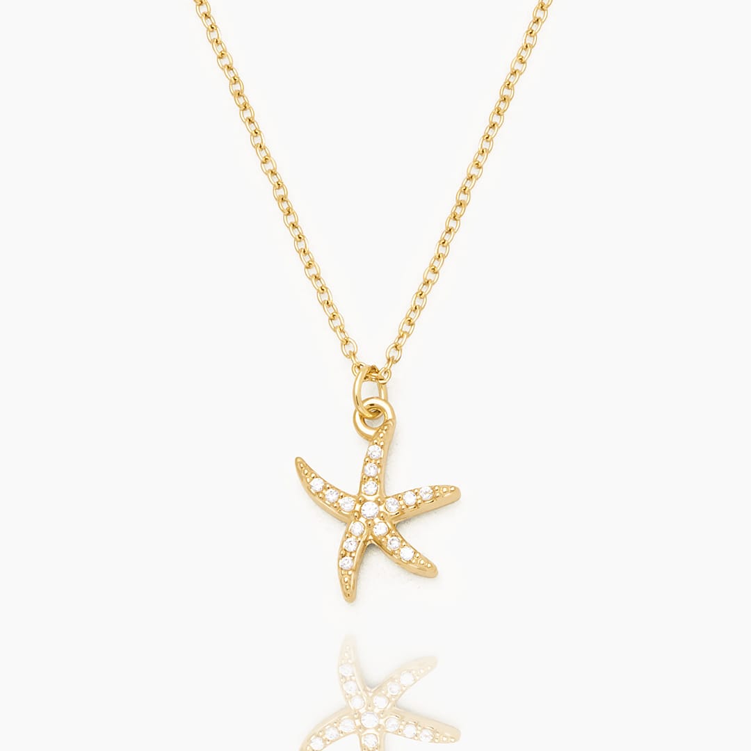 COLLAR ESTRELLA DE MAR - WATERPROOF