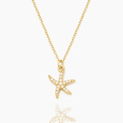 COLLAR ESTRELLA DE MAR - WATERPROOF