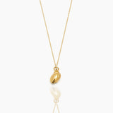COLLAR CORAL - WATERPROOF