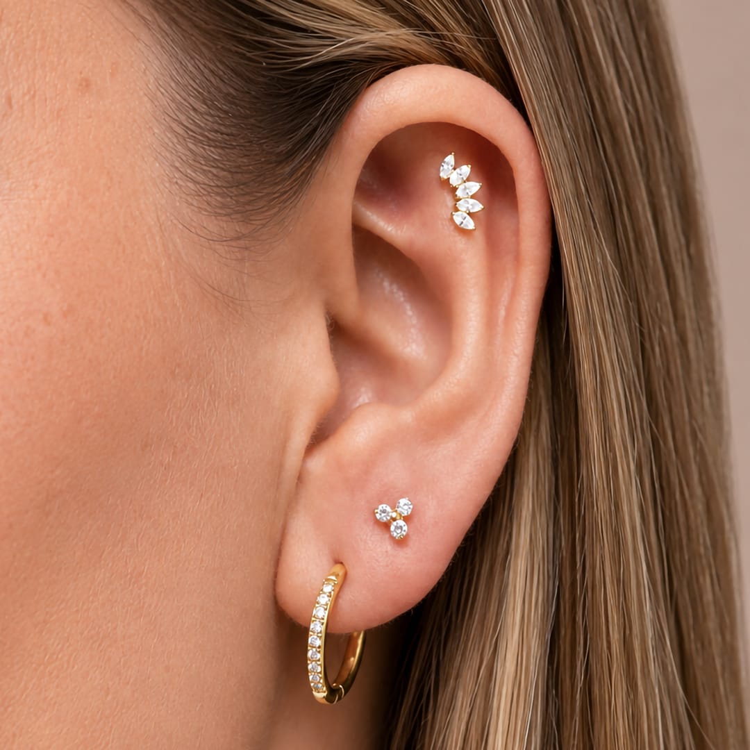CROWN-Y-TANA-OREJA.jpg