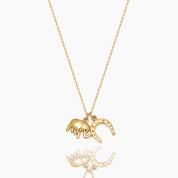 COLLAR HERRADURA - WATERPROOF