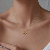 COLLAR BALTO - WATERPROOF