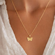 COLLAR NABI - WATERPROOF