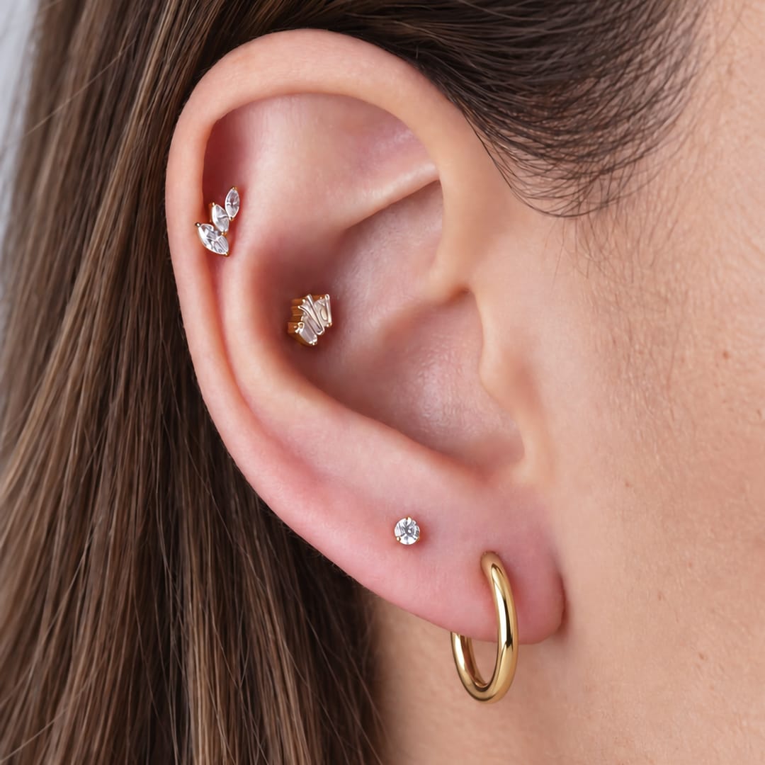 OREJA-VICTORIA.jpg