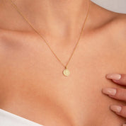 COLLAR SAN BENITO MINI - WATERPROOF